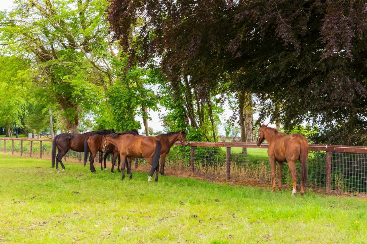 Bective Stud Apartments Navan Zewnętrze zdjęcie